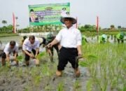 Tingkatkan Kesejahteraan Petani , Dunia Pertanian Sulsel Berterima ke Mentan Andi Amran Sulaiman