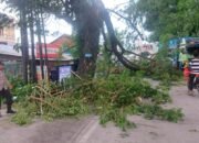Respon Cepat, Polsek Manggala Evakuasi Pohon Tumbang yang Menutup Akses Jalan Antang Raya