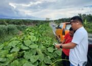 HGU Perusahaan Sawit Tumpang Tindih dengan SHM 30 Desa di Pasangkayu, Hasri: Akan Kami Bawa ke Satgas Mafia Tanah