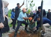 Momentum Harkitnas, Bupati Andi Utta Gencarkan Penghijauan di Bulukumba