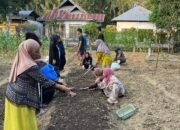Mahasiswa KKN-PM USN Kolaka Angkatan XII 2025 dan PKK Desa Puu Tamboli Kolaborasi Bangun Kebun TOGA