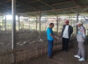 Darul Fallaah Pertegas Identitas sebagai Ponpes Agribisnis