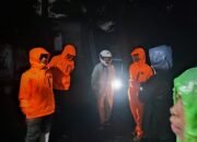 BPBD Tangani Pohon Tumbang dan Evaluasi Warga di Sejumlah Wilayah Rawan