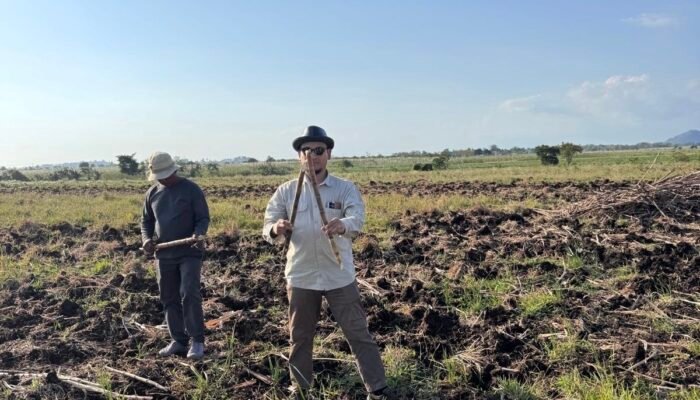 Kejar Swasembada Gula, Pemerintah Akan Libatkan Tim Independen dan Kampus Cek Kualitas Tebu