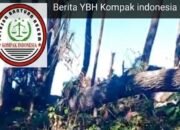 Hutan Lindung Gowa Diduga Dijarah, Ybh Kompak Desak Penegakan Hukum Tanpa Tebang Pilih